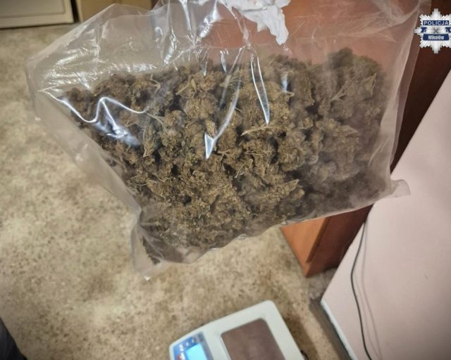 Mikołów: Dwóch mężczyzn zatrzymanych z marihuaną – grozi im 10 lat więzienia