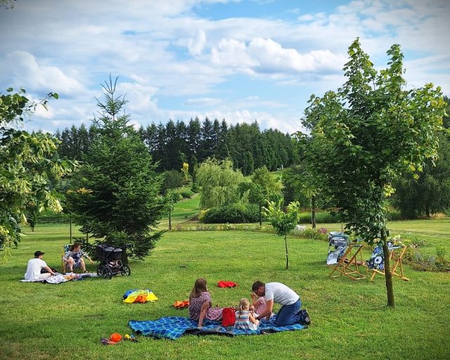 "Zielone Popołudnie" w Śląskim Ogrodzie Botanicznym – piknik i warsztaty dla dzieci