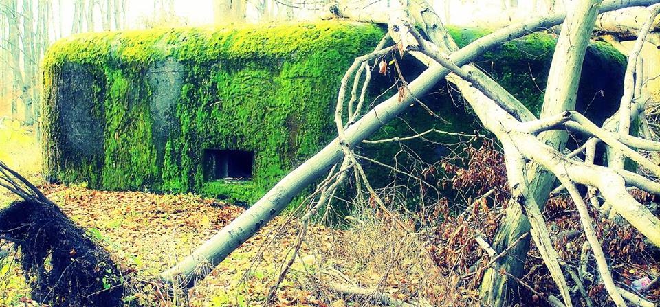 Śladami polskich schronów bojowych - spacer historyczny