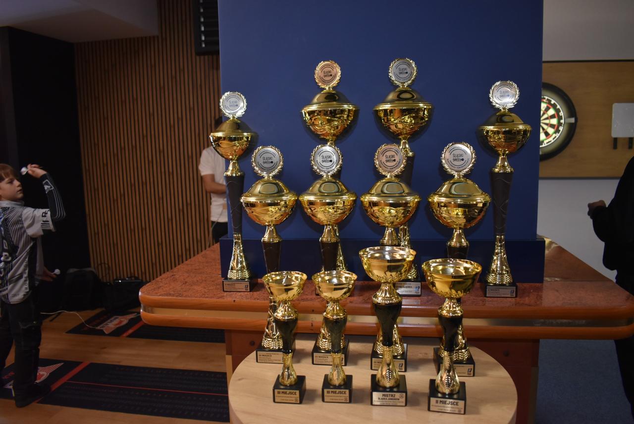 Mistrzostwa Śląska w Steel Darcie. Znamy najlepszych zawodników - fotoreportaż