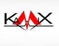 Logo PPUH Kamix Mikołów