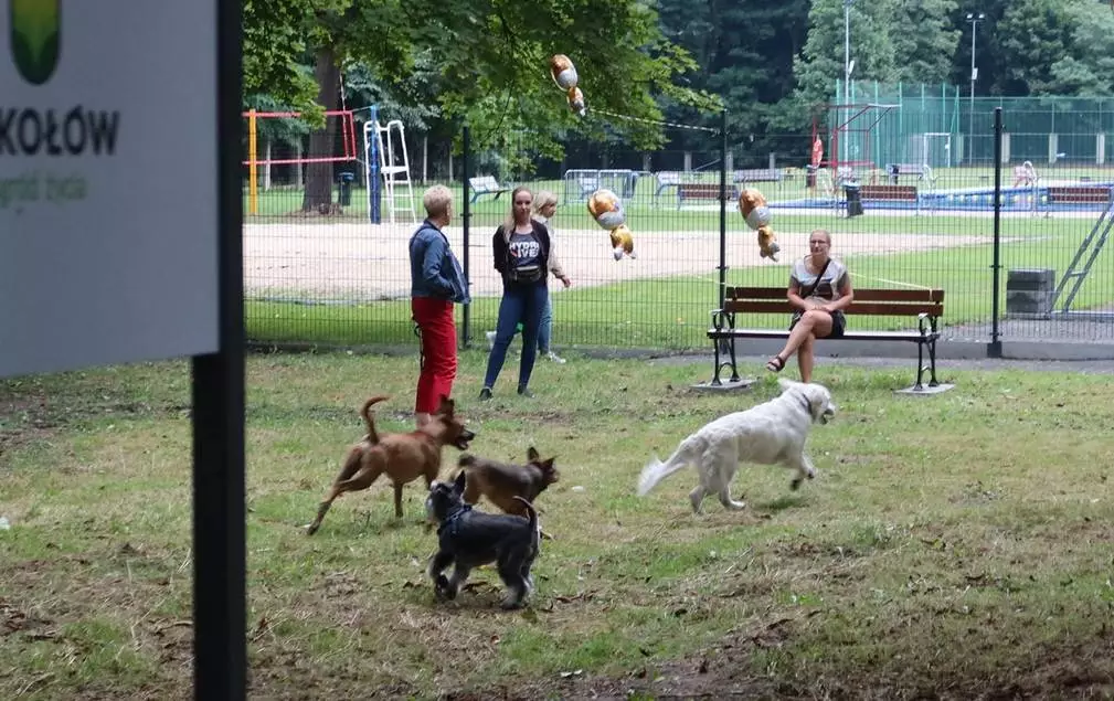 2 sierpnia oddano do użytku wybieg dla psów/fot. Stanisław Piechula (Facebook)
