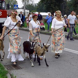 Dożynki Mokre