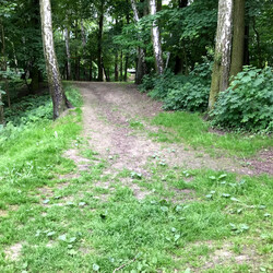 Park Planty