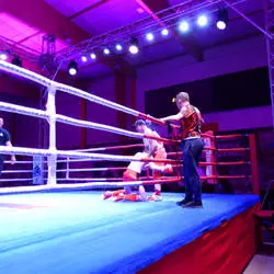 V Charytatywna Gala Kickboxingu