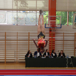 MP Seniorów w skokach na trampolinie, ścieżce i podwójnej mini-trampolinie