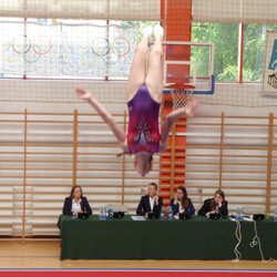MP Seniorów w skokach na trampolinie, ścieżce i podwójnej mini-trampolinie