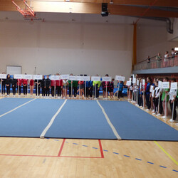 MP Seniorów w skokach na trampolinie, ścieżce i podwójnej mini-trampolinie