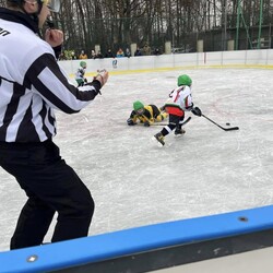 Mini Hokej
