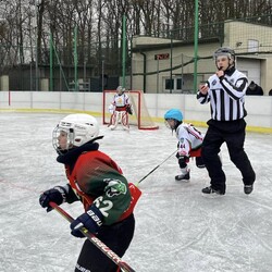 Mini Hokej