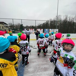 Mini Hokej