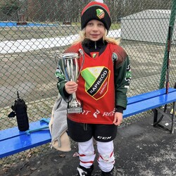 Mini Hokej