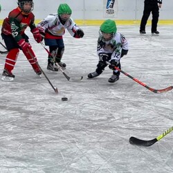 Mini Hokej