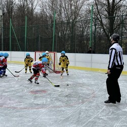 Mini Hokej