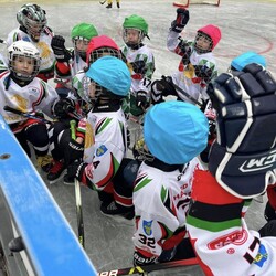 Mini Hokej
