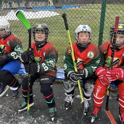 Mini Hokej