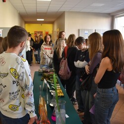 Dzień Otwarty w II LO w Mikołowie
