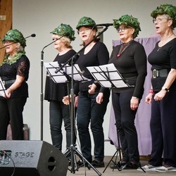 IV Festiwal Aktywności Senioralnej i III Targi Senioralne