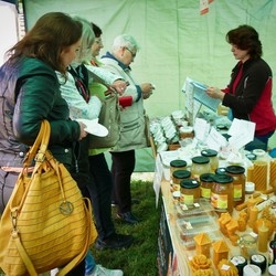 IV Festiwal Aktywności Senioralnej i III Targi Senioralne