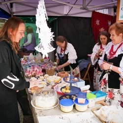 IV Festiwal Aktywności Senioralnej i III Targi Senioralne