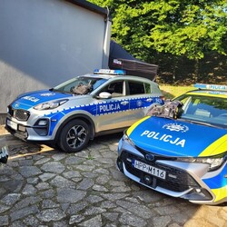 Dzień Dziecka z sierżantem Hektorem
