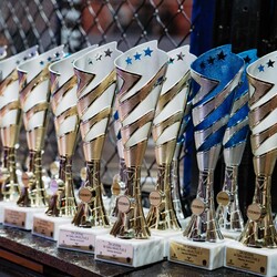 Gala Sportów Walki Invictus Federation