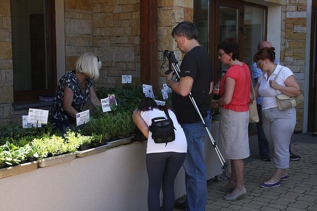 Dzień Bioróżnorodności w Śląskim Ogrodzie Botanicznym