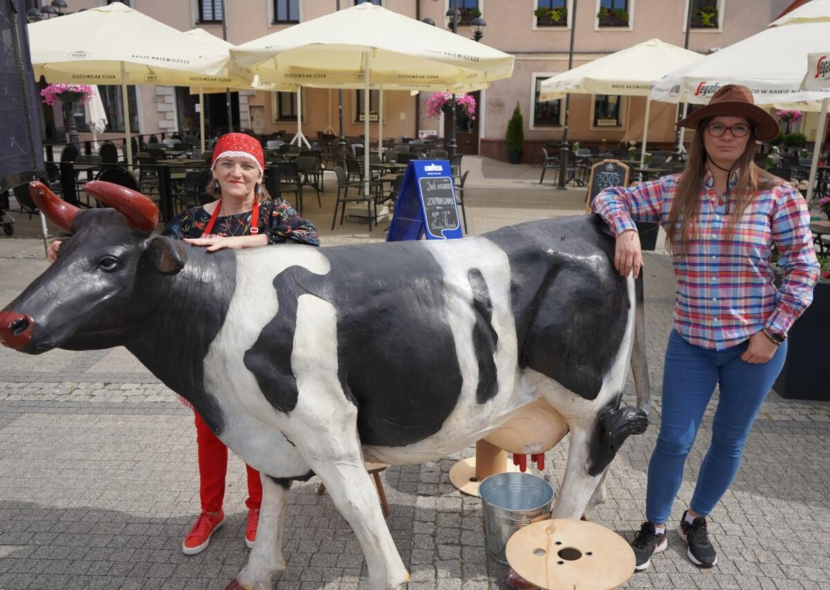 W minioną sobotę mikołowski Rynek zamienił się w tętniący życiem Dziki Zachód, pełen radosnych dzieci i aktywnych dorosłych / fot. MDK Mikołów