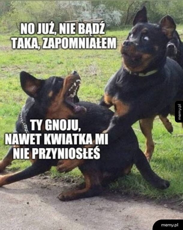 Dzisiaj Obchodzimy Dzien Kobiet Zobaczcie Ciekawostki I