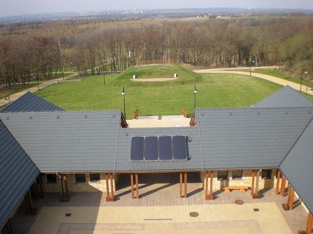 Dzień Lasu 2014