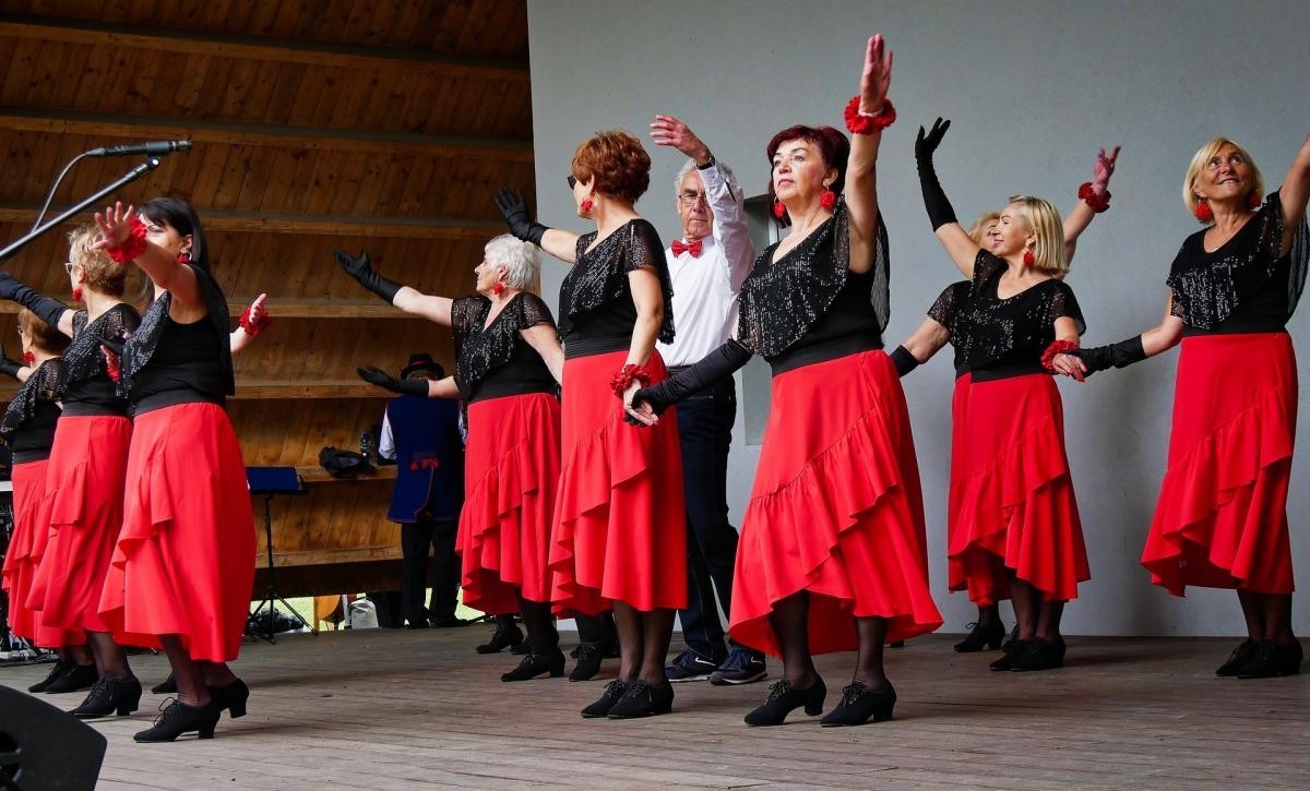 IV Festiwal Aktywności Senioralnej i III Targi Senioralne w Ornontowicach połączyły pokolenia / fot. Aktualności Powiatu Mikołowskiego