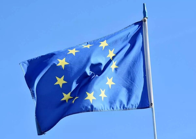 Jak mikołowianie głosowali w wyborach do Europarlamentu 2024?
