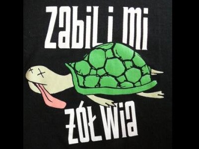 Koncert Zabili Mi Żółwia i Holden Avenue