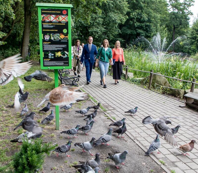 Mikołów liderem zielonej zmiany. Śląskie stawia na lokalne działania klimatyczne