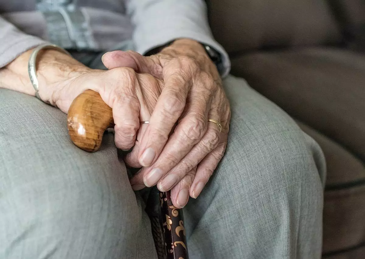 Myślała że pomaga wnuczce. 86-latka oszukana na 20 tysięcy! / fot. Pixabay