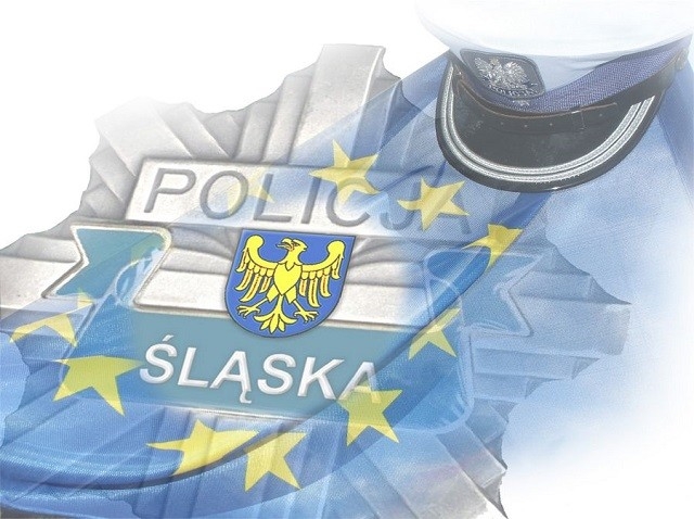 Od początku 2020 r. na śląskich drogach zginęło już aż 20 osób. Większość z nich to piesi