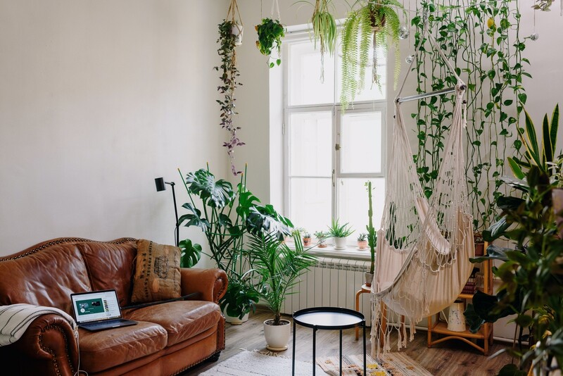 Salon w stylu boho – jak stworzyć stylowe wnętrze? Miłośnicy niekonwencjonaln