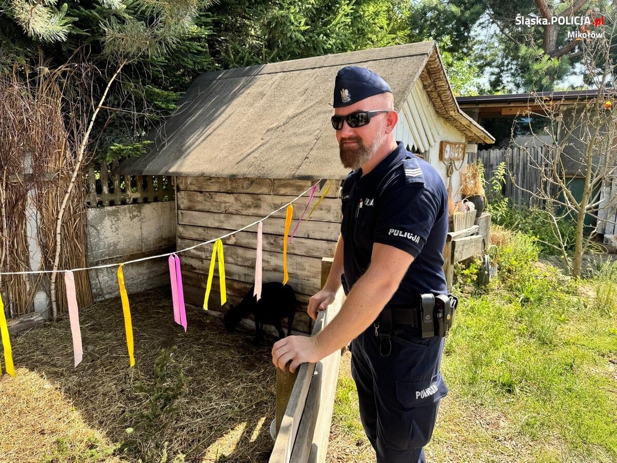 W piątek (28 czerwca) policjanci mikołowskiej komendy wybrali się na spotkanie z uczestnikami miejscowych półkolonii "Niezłe Ziółka" / fot. KPP Mikołów