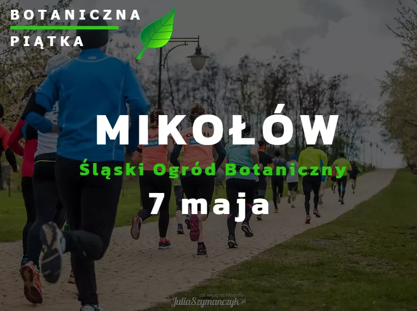 Wydarzenie sportowe w Mikołowie - Botaniczna Piątka edycja wiosenna / fot. Botaniczna Piątka
