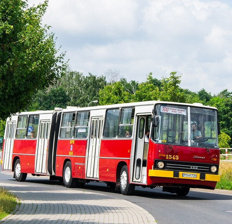 Zabytkowe Ikarusy wracają na trasy. Przejadą przez Mikołów